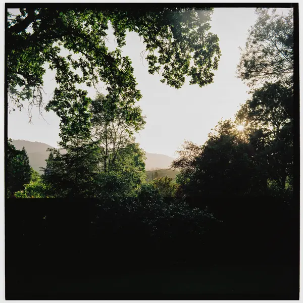 Napa Valley in 120 Roll 1: Kodak Gold 200 — frame 002